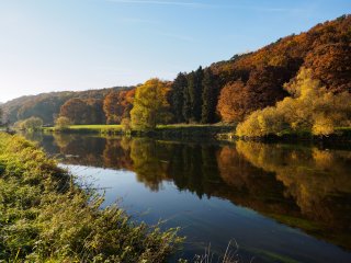 Märchenhafte Uferlandschaft  an der Fulda, südlich von Kassel : Fulda, Fuldabrück, Herbst, Wald, xDieTops, xHerbst