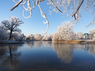 Vereiste Karlsaue  Aueteich mit Schwaneninsel und Tempelchen : Eiskristalle, Karlsaue, xDieTops