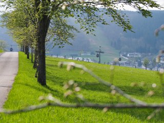 Vorsicht, Seilbahn kreuzt!  Der Mai ist gekommen an den Willinger Hängen : Allee, Willingen, xWillingen