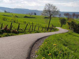 Wiesenweg  zwischen Stryck und Willingen : Weg, Willingen, xWillingen