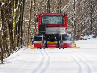 Frisch gespurt  Gut, dass es diese Frühaufsteher gibt : Export für Edelweiß, Willingen, xWillingen