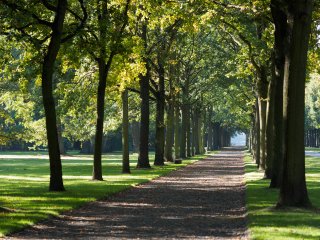 Der Herbst beginnt  in der Karlsaue Kassel : Karlsaue, xHerbst