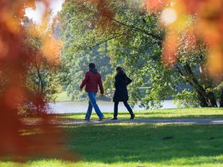 Herbstspaziergang  am Aueteich, Karlsaue, Kassel : Karlsaue, xHerbst