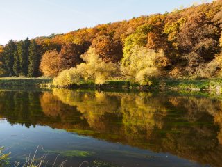 Herbstspiegel  am Fuldaufer südlich von Kassel : Fulda, Fuldabrück, Herbst, Wald, xHerbst