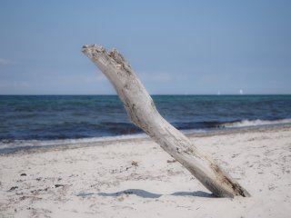 Sonnenuhr  am Weststrand auf dem Darss : 2014, Darss, Prerow, xSommer