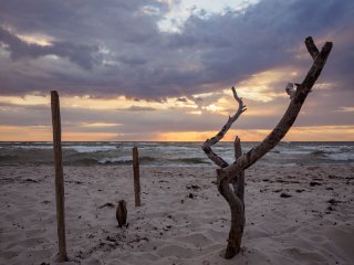 Strandskulptur  Abendstimmung am Darsser Weststrand : Brandung, Darss, Prerow, Sonnenuntergang, Weststrand, xDieTops, xSommer