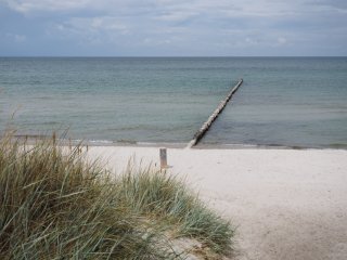 Buhne 6  am Strand bei Zingst : Buhne, Darss, Dühne, Prerow, Strand, xDieTops, xSommer