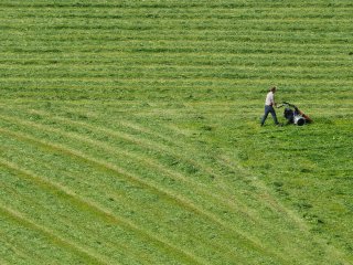 Gleich ist Feierabend  Pistenpflege auf der Hochbrandpiste bei Großarl : Feierabend, Raenmäher, Wiese, gemäht, xSommer