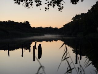 Prerow-Strom im Morgengrauen  Die Mystik wabernder Nebelschwaden an einem windstillen Morgen zwischen der Uferkulisse des Prerow-Stroms : Darss, Fluss, Nebel, Prerow, xSommer