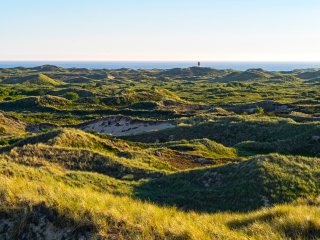 Dünenlandschaft ...  ... am Quermarkenfeuer auf der Insel Amrum : Oly-FNEU-exportiert, Oly-ForumNEU, xNEU, xSommer