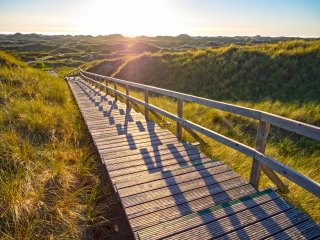 Bohlenweg ...  ... in den Dünen der Insel Amrum : Oly-FNEU-exportiert, Oly-ForumNEU, xNEU, xSommer