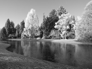 Vereiste Karlsaue  Blick auf das Südufer der Insel Siebenbergen : Eiskristalle, Karlsaue, SW, xWinter