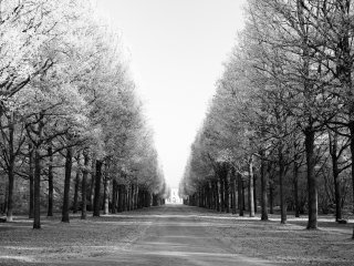 Vereiste Karlsaue  Allee mit Blick auf die Orangerie : Eiskristalle, Karlsaue, SW, xWinter