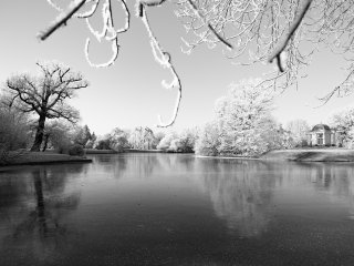 Vereiste Karlsaue  Aueteich mit Schwaneninsel und Tempelchen : Eiskristalle, Karlsaue, SW, xWinter