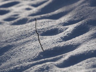 Leben in der Schneewüste : Export für Edelweiß, Willingen, xWinter