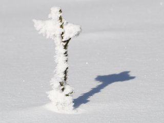 Gipfelkreuz  Vom Eiswind geformt : Ohlenbach, xWinter