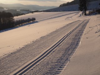 Langläufertraum  Frisch gespurte Anschlussloipe zum Waldhotel Ohlenbach : Ohlenbach, xWinter