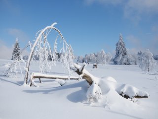 Winter am Kahlen Asten : Ohlenbach, xWinter