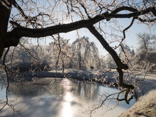 Winterspaziergang : Eiskristalle, Karlsaue, Oly-FNEU-exportiert, Oly-ForumNEU