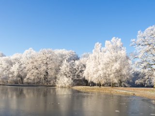 Park in Weiß : Eiskristalle, Karlsaue, Oly-FNEU-exportiert, Oly-ForumNEU