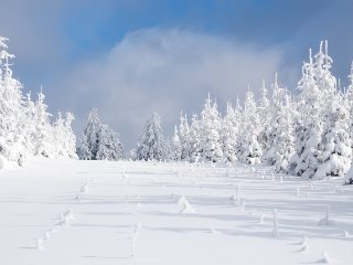 Wald-Kindergarten  ... auf dem Kahlen Asten, Hochsauerland : Oly-FNEU-exportiert, Oly-ForumNEU