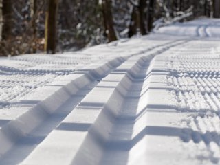 Erinnerung ...  ... eines Langläufers an einen traumhaften Winter : Oly-FNEU-exportiert, Oly-ForumNEU, xWinter